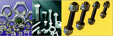 BOLTS & NUTS